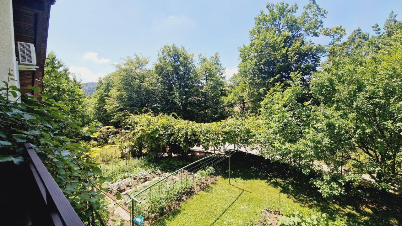 Family House In The Vicinity Of Ljubljana Apartment Logatec Bagian luar foto
